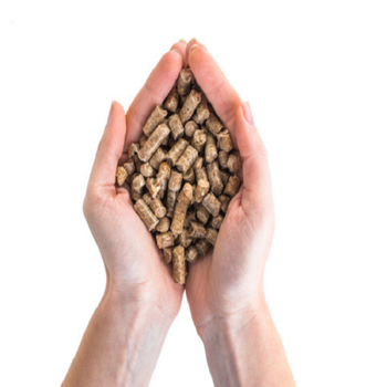 Premium Eco-Friendly 100% Pine Wood Pellets | Biomass Fuel | 6mm | ENplus A1 | 3% Ash | 1100-1300kg/m Density - Smart Agri GmbH - Germany