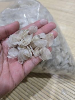 Tilapia Scales Processing Method Sun-dried Harvest Method Sustainable Freshwater Farms Intended Use Animal Feed, Organic Fertilizer, Cosmetics, Industrial - Bryna Balakosa Abadi - Indonesia