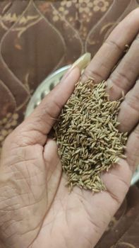 Cumin Seeds - PAN International - India