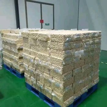 CASHEW NUTS - truestone mining company limited - Tanzania