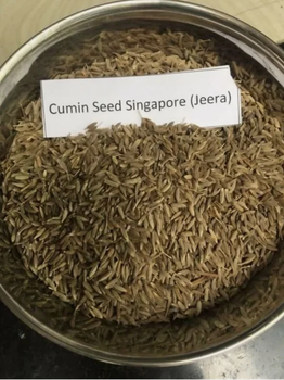 Cumin seed - Santok Product Industries - India