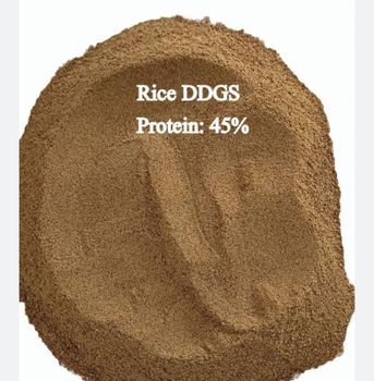 Dried Distillers Grain with Solubles (DDGS) - MARUTHI AGRO PROTEINS - India