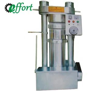 Full Automatic Camellia Seed Hydraulic Oil Press on Sale - Zhengzhou Effort Trading Co., Ltd. - China