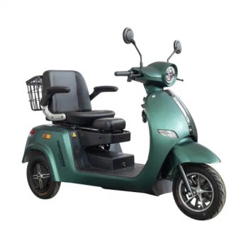 New Arrival Electric Tricycle, Three Wheel Motorcycle, Three Wheeler, Electric Motorbike, EEC Disabled Vehicle - Wuxi Hongfan Group - China