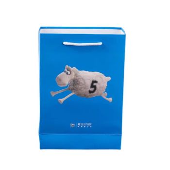 Paper Bags Packaging Bags Paper Gift Bag with White Rope Handle for Sleeping Bag Liner Silk - Hangzhou Quan Shixing Trading Co., Ltd. - China