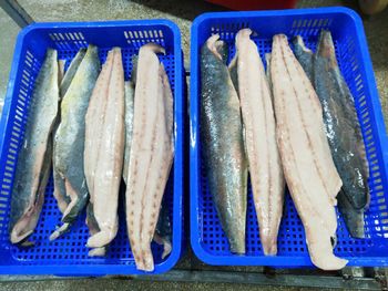 MAHI MAHI -FILLET and PORTION - TPPFOOD - VietNam - Vietnam
