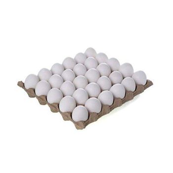 Fresh Organic White Chicken Eggs Competitive Price Wholesale Farm Fresh Chicken Table Eggs - BMU TRADING GMBH - Germany