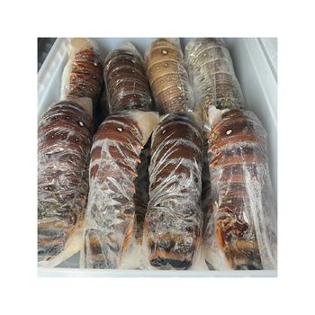 Premium frozen lobster tails prepared for bulk purchase reliability - MASI TRADING GMBH - Germany