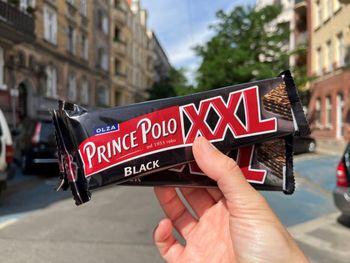 Perfect Prince Polo Chocolate Crunchy Sweet Wafer Rich Cocoa Flavor Excellent Quality Wholesale Price Great Selection - PLANETE COMMERCE - France
