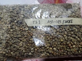 Coffee beans - Putra Tani Grobogan - Indonesia