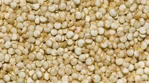 Conventional White Quinoa (Chenopodium quinoa) Packaging PP bag Shelf Life 12 Months Place of Origin India Packaging Details - Opelion Global Pvt Ltd  - India
