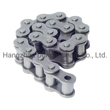 Transmission Industrial Conveyor Chain Roller Chain /Hollow Chain/Stainless Steel Pintle Chain/Motorcycle/Agricultural Chain - Hangzhou Dunpai Chain Co., Ltd. - China