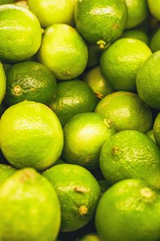Premium Fresh Brazilian Lime Tahiti Flavorful - Trivalli Comercio Global LTDA - Brazil
