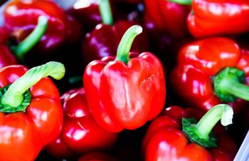 Best Selling and High Quality 100% Natural Product Fresh Capsicum Fresh Bell Sweet Color Pepper Yellow Red Green P - TRADECENTRIC LLC - United States