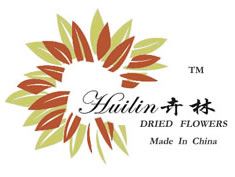 Product - Zhejiang Yiwu Huilin Dryflower - China