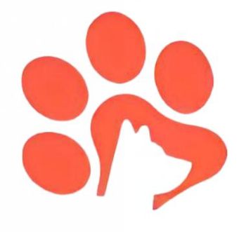 Product - Shandong Darling Pet Products Co., Ltd. - China