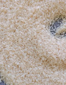 Long grain paraboiled and white rice - Danaya Enterprises - India