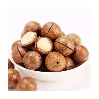 Macadamia nuts bulk supply wholesale cheap price premium quality - Starmark Company Limited - Tanzania