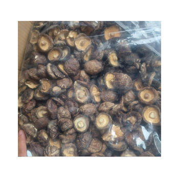Dried oyster stalk mushroom Low Price High Quality Natural Dried Shiitake mushrooms Organic from Vietnam - 99 GOLD DATA - Vietnam