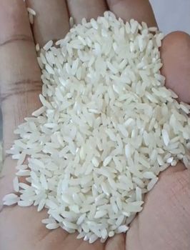 Non Basmati Rice Parmal Raw Old from Shri Radhe Radhe Trading Co (Brijone Wale) Non Basmati Rice Parmal Raw Old - Shri Radhe Radhe Trading Co (Brijone Wale) - India
