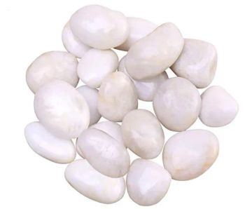 White Pebbles for Plants Garden Vases 7 Lb White Rocks Gravel Decorative Stone 1/2" - Nanjing Beautystone Industrial Co., Ltd. - China