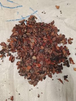 Cocoa Shells - FEMOE TRANSIT AFRICA - Cameroon