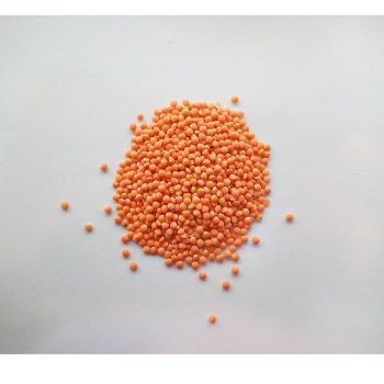 Natural Red Lentils From New Harvest Red Lentils Offered In Bulk With Low Moisture And High Purity - TRADECENTRIC LLC - United States