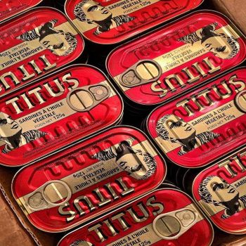 Bulk Sardine Fish Canned Vegetable Oil - SAEBYGARD AVLSGARD A/S - Denmark