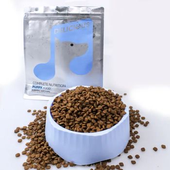 Premium Limited Ingredient Dry Fresh Meat Cat Food for Healthier Felines - Breta Navigator (Hebei) International Trading Co., Ltd - China