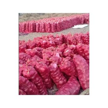 Fresh Red Onions New Harvest Wholesale Seasoned Foods spices big onions Top Grade from AFRIVET TRADING SERVICES Fresh Red Onions New Harvest Wholesale Seasoned Foods spices big onions Top Grade - AFRIVET TRADING SERVICES - South Africa