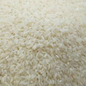 IR64 PARBOILED RICE from MNT I M P E X IR64 PARBOILED RICE - MNT I M P E X - India