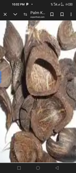 Palm kernel shell from UGORRJI GLOBAL NIG. LTD. Palm kernel shell - UGORRJI GLOBAL NIG. LTD. - Nigeria