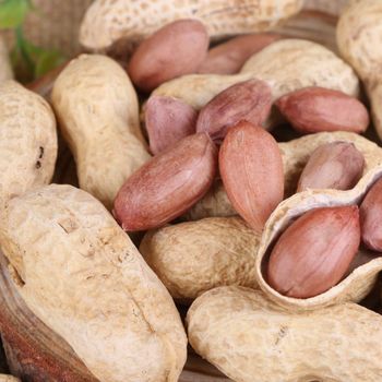 Organic Dried Peanut Kernels With Tanzanian Groundnuts Origin Packed In Vacuum Bags For Global Import Buyers from malter group Organic Dried Peanut Kernels With Tanzanian Groundnuts Origin Packed In Vacuum Bags For Global Import Buyers - malter group - Tanzania