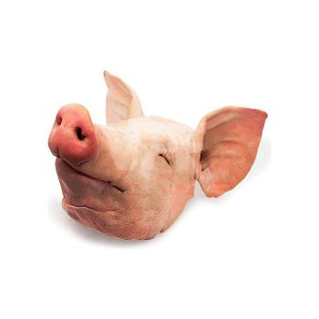 Wholesale High Quality Products Mussels Supply Poultry Meat Sale Pig Frozen Pork Head Bones In Brazil Brazil Frozen Pork Head for sale Factory Price Frozen Pork Head Meat for Sale FOR AFFORDABLE PRICES - GLOBOTO TRADE BRASIL LTDA - Brazil