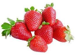 Fresh Strawberry – Premium Quality Sweet & Juicy Berries for Export - TRADE NEPAL LLC - United States