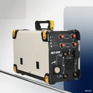 TIG-200r 220V Portable MMA TIG DC Inverter Welding Machine 2 in 1 TIG Welder - Taizhou Ailandar Pump Industry Co., Ltd. - China