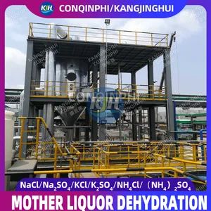 Mother Liquor Dehydration Efficient Sludge Dehydrator Machine - Qingdao Conqinphi Environmental Technology Group Co, . Ltd - China