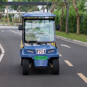 Essential Equipment for Saudi Arabia Clubs with Tool Kit Golf Cart - Hainan Yulong Machinery Technology Co., Ltd. - China