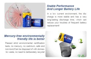 9 Volt Batteries 9V Battery 2 Pack for Smoke Detectors MOQ No MOQ Brand Pkcell Model NO. 6F22 Battery Size 9V Leakage - Shenzhen Pkcell Battery Co., Ltd - China