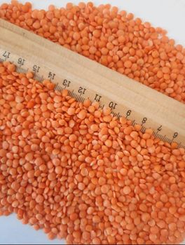 Red Lentils - Intellicommodity Group - Russian Federation