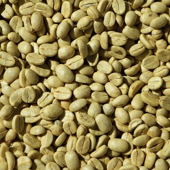 High Quality Raw Coffee Shipment Includes Robusta Coffee Beans With Whole Bean Form And Secure Packing - malter group - Tanzania