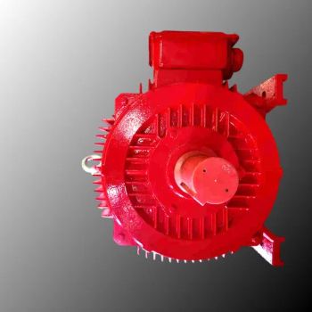Ye4-315L1-4 Professionally Manufactured - Specialized Motors for Mixing, Printing, Packaging, Deceleration, Transportation, Compressor and Other Fields - Hebei Xiangli Motor Manufacturing Co., Ltd - China
