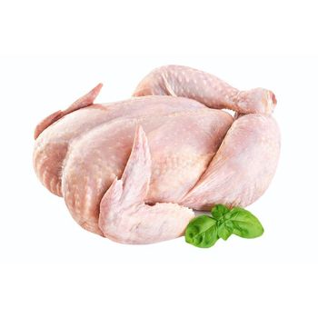 High grade frozen whole chicken prepared for food distribution and commercial supply - MT Trading GmbH - Germany