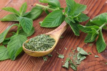 Dried peppermint - Green Alliance Company - Egypt