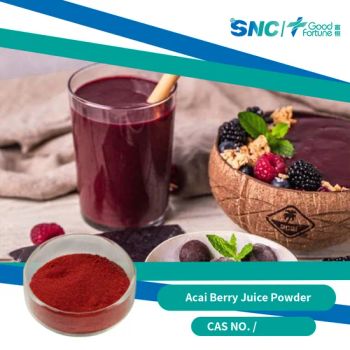 Organic Raw 1%~25% Anthocyandins Acai Berry Powder for Superfood Smoothies and Bowls - Good Fortune International Trading (Tianjin) Co., Ltd - China