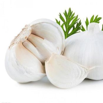 Premium Quality Fresh Garlic 6.0cm Large Clean Garlic Bulbs Bulk Cheap Pricing Wholesale Deals from A.C.P. AGRICULTURE COMPANY LIMITED Premium Quality Fresh Garlic 6.0cm Large Clean Garlic Bulbs Bulk Cheap Pricing Wholesale Deals - A.C.P. AGRICULTURE COMPANY LIMITED - Thailand