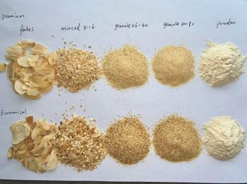 dehydrated garlic flakes/ granules/ powder Texture Dehydrated Form Flakes Granules - Sure Spice - China