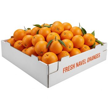 Fresh Navel Orange Naturally Sweet Citrus Fruit With Bright Texture For Food Service And Wholesale Delivery - TOSOH INTERNATIONAL - South Africa