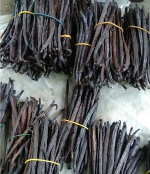 Vanilla Beans Grade A with various length between 12 cm and above, moisture level between 20%-35%. from PT.Artha Niaga Internusa Vanilla Beans Grade A with various length between 12 cm and above, moisture level between 20%-35%. - PT.Artha Niaga Internusa - United Kingdom