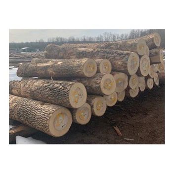 Ash Logs | Hardwood Ash Wood Round Logs For Sale Bulk Transport Destination Worldwide - Exigentelaxia Unipessoal Lda - Portugal